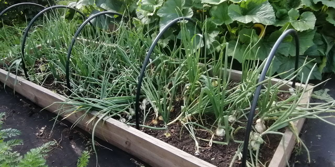 5 вариантов красивых дорожек для сада, что постелить между грядок