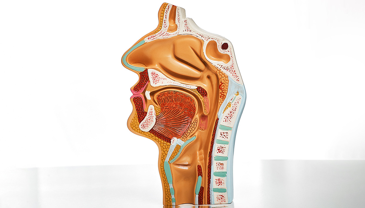     Фото: Peakstock/Shutterstock/FOTODOM