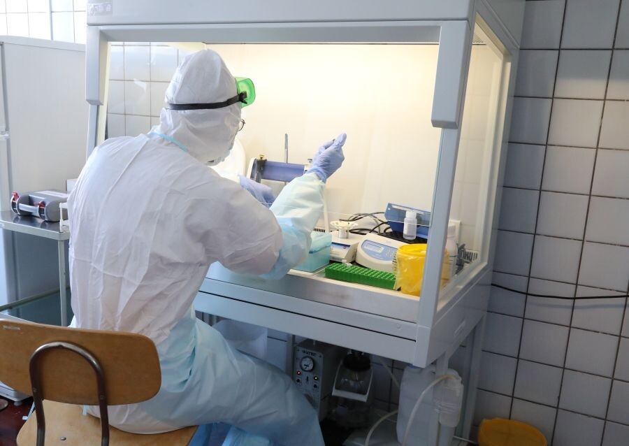     / Источник: © Павел Кононов/РИА Новости