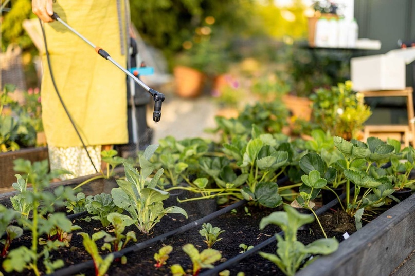 Органические альтернативы пестицидам