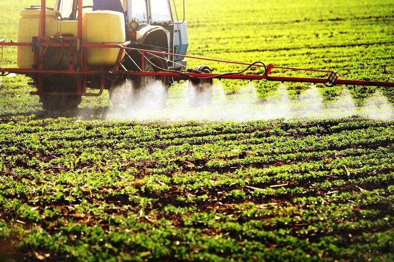 Важность пестицидов и их основные виды