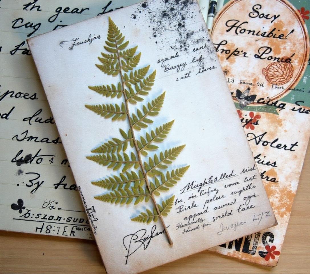Украшение открытки сушеными растениями