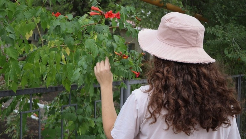      Фото: Дмитрий Ахмадуллин / / ИА «Победа26»