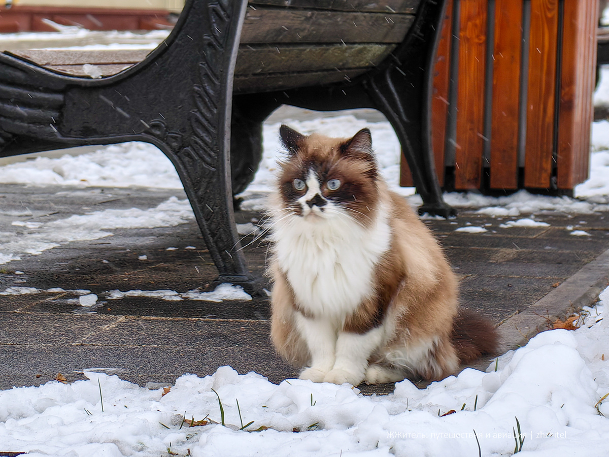 Этот снимок мог бы стать украшением поста про Наро-Фоминск