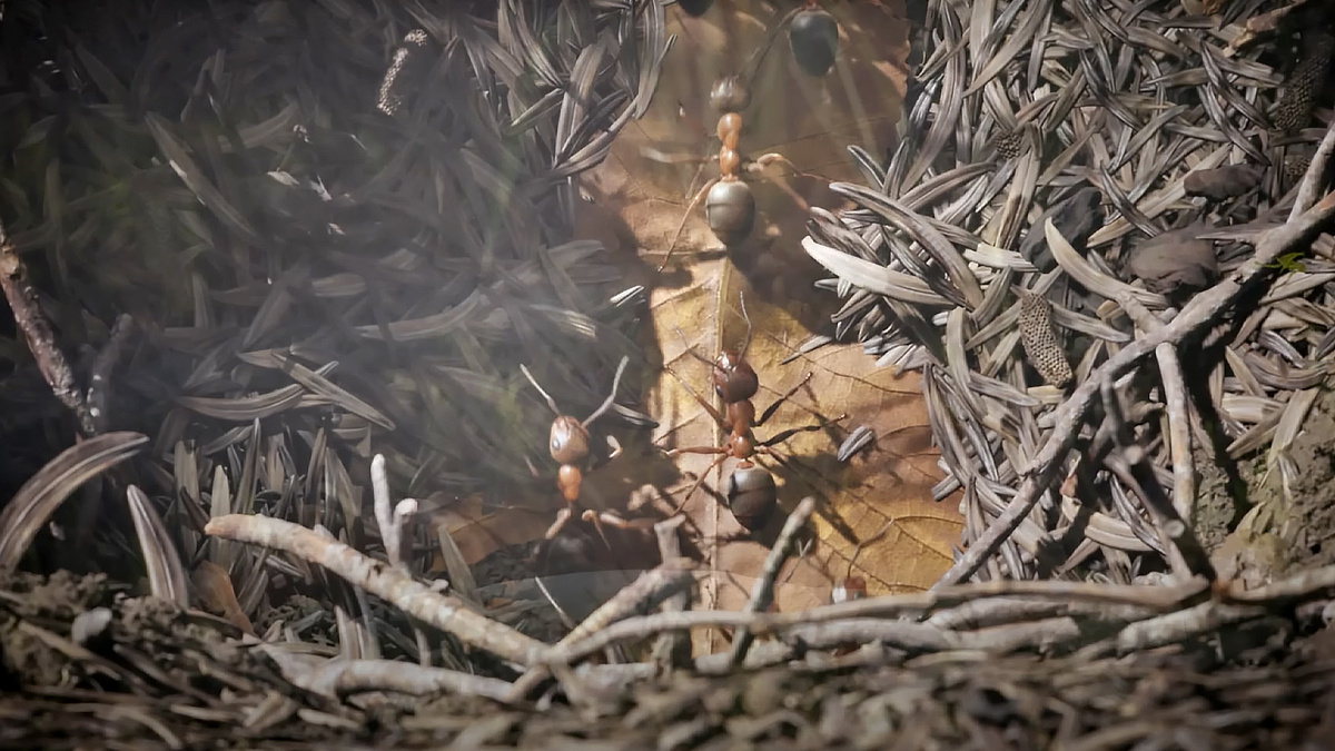 Скриншот из игры "Empire of the Ants"