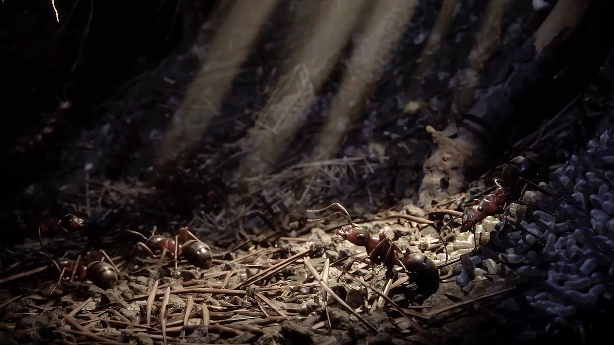 Скриншот из игры "Empire of the Ants"