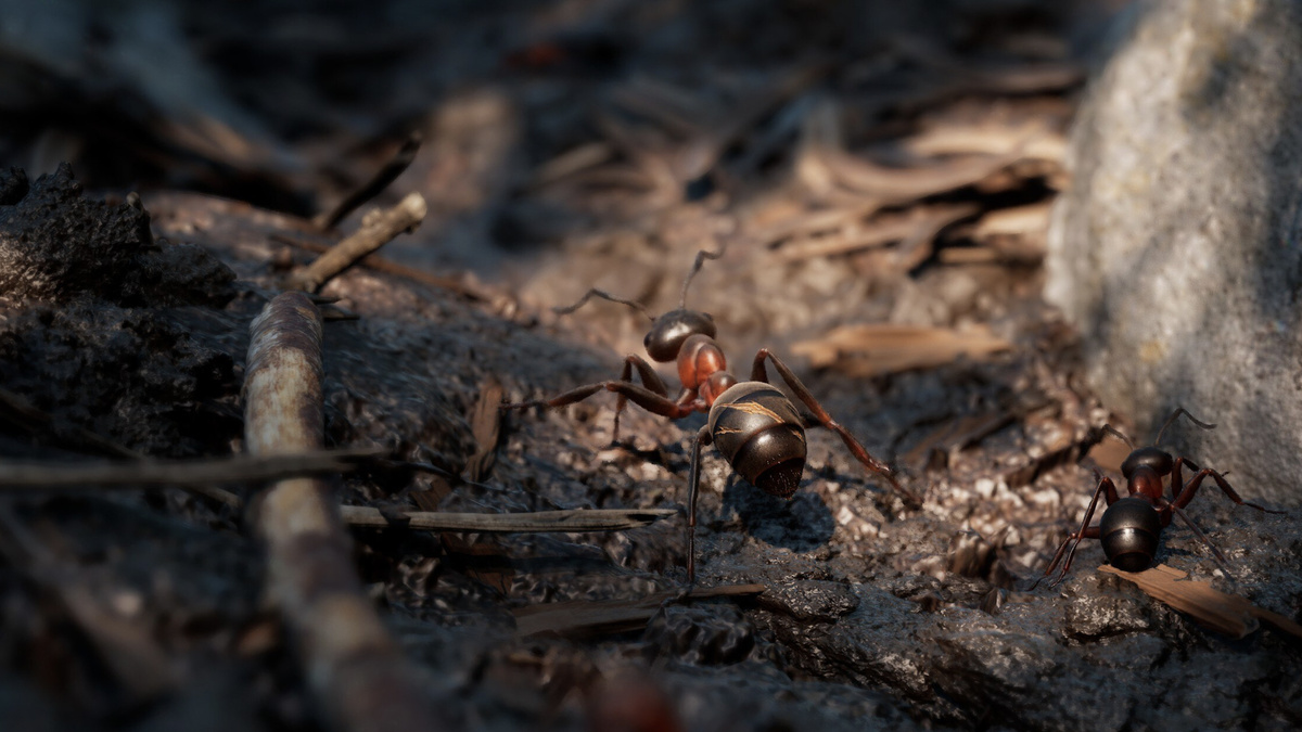 Скриншот из игры "Empire of the Ants"