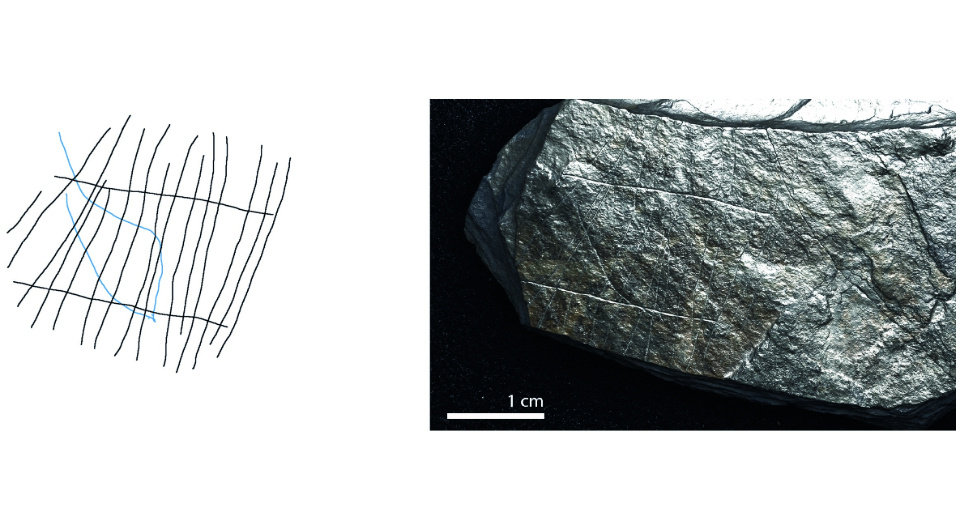   Jerome Robitaille et al. / PLoS ONE, 2024