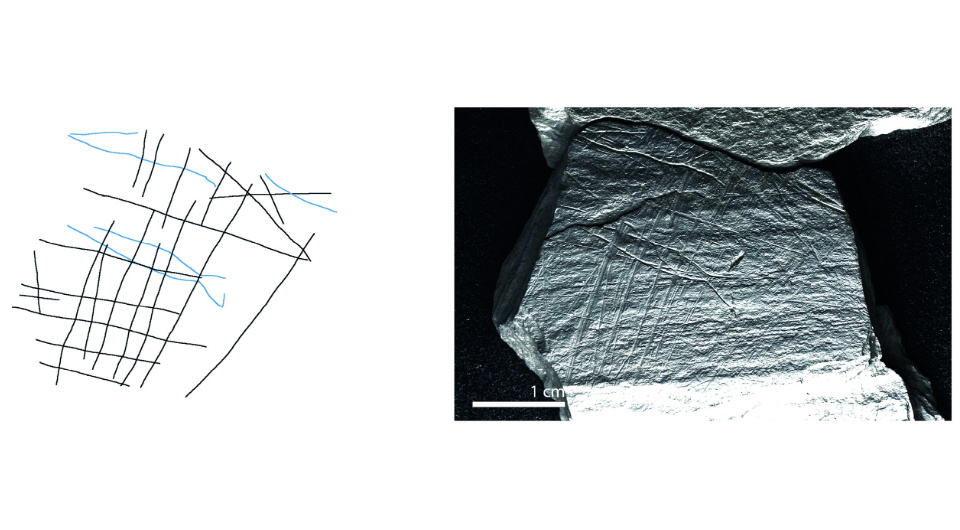   Jerome Robitaille et al. / PLoS ONE, 2024