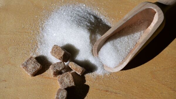    © Sputnik / Павел Лисицын