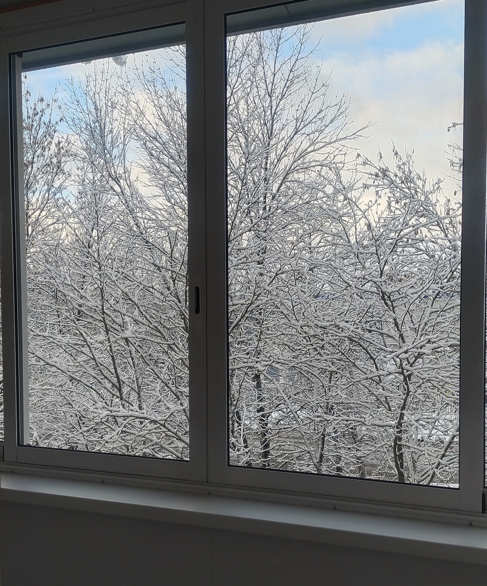 Фото автора. 1 ноября. 