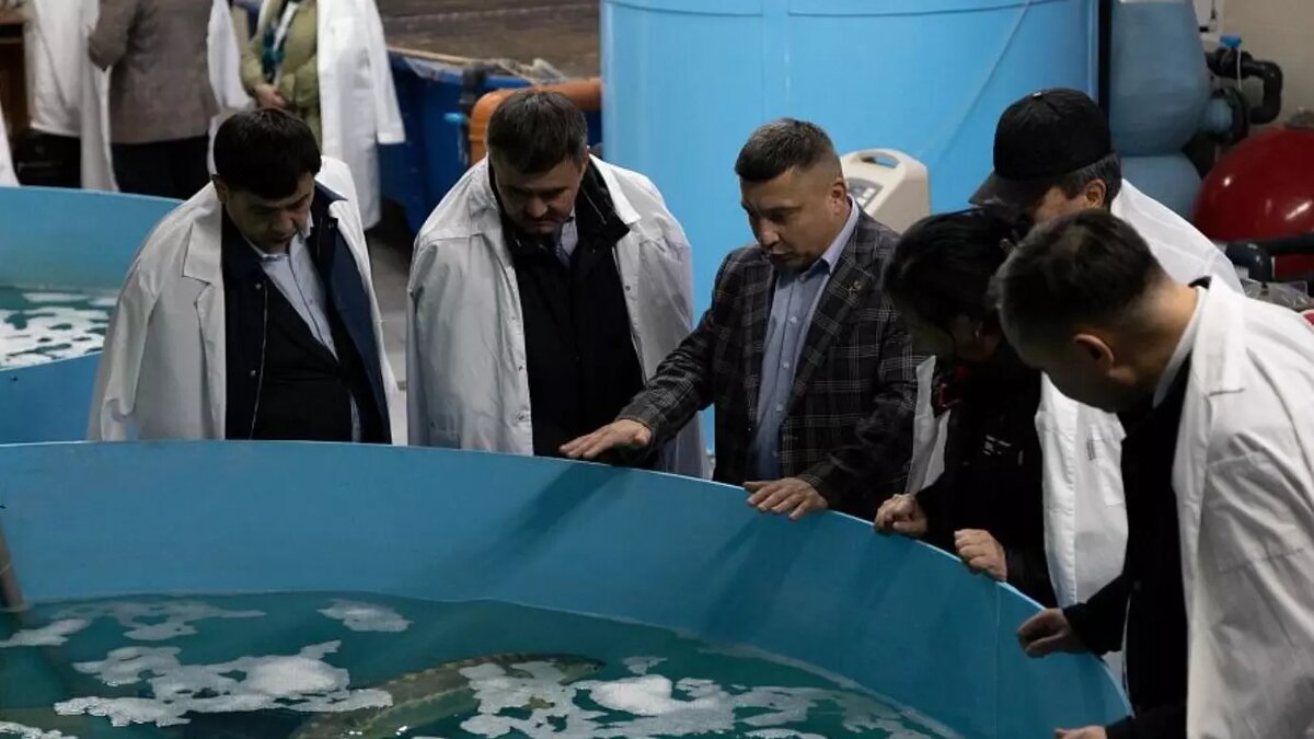     Источник: ВолГАУ