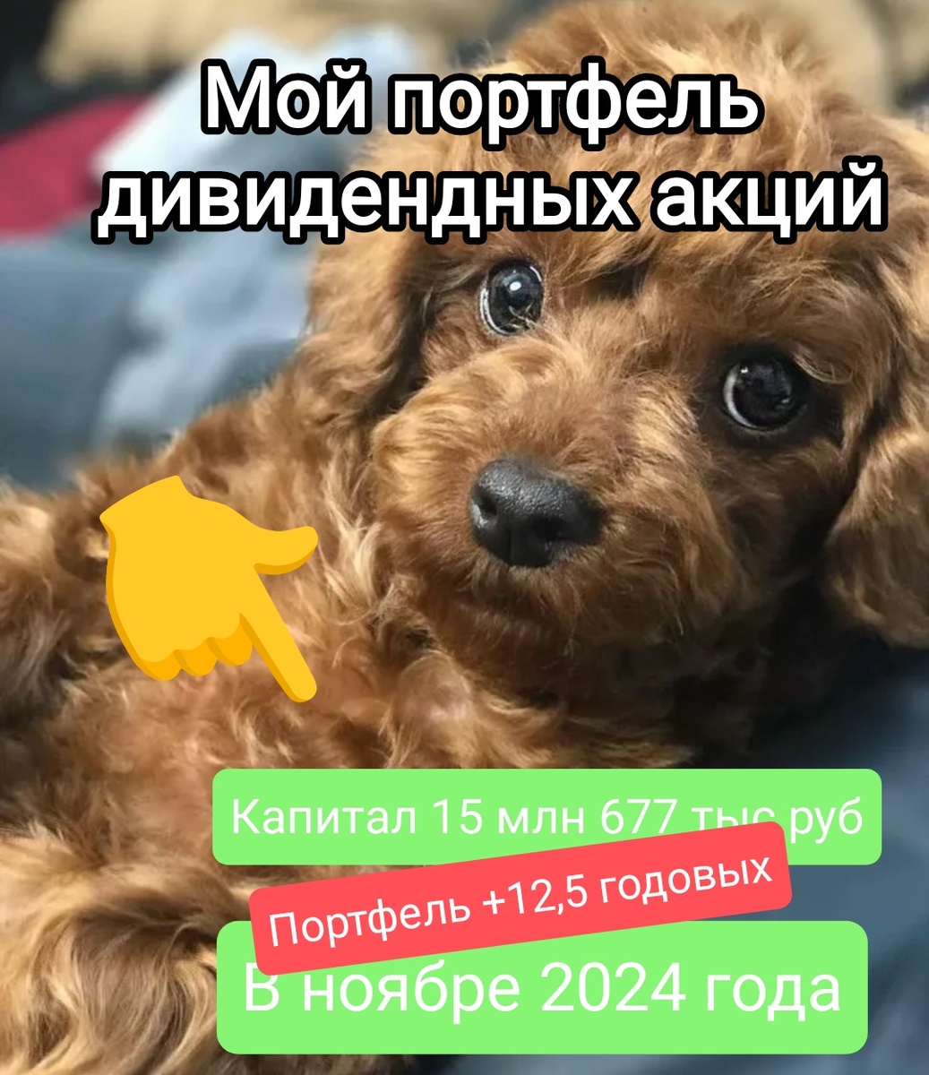 Взято из личного кабинета с целью иллюстрации, на заднем плане Алиса, наш любимый питомец 🐶