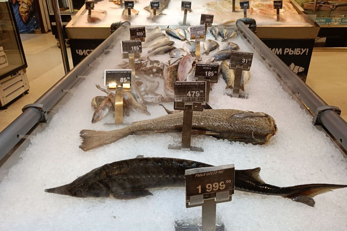 Фото: ИА Регион 71