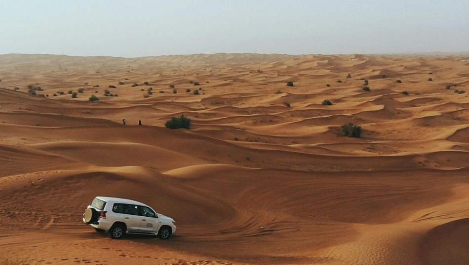 Фото: Zafeerah Heesambee, unsplash