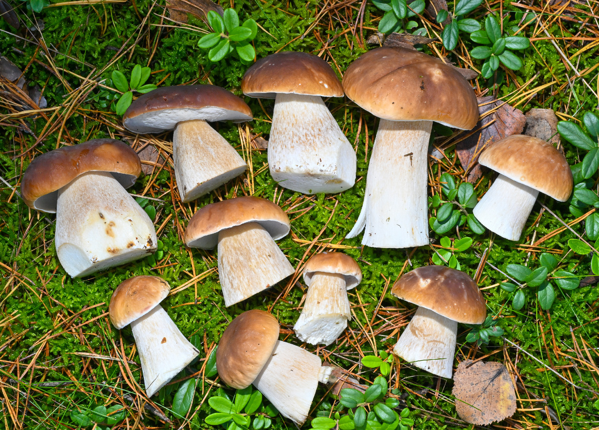 Фото: Patrick Pleul / Globallookpress.com