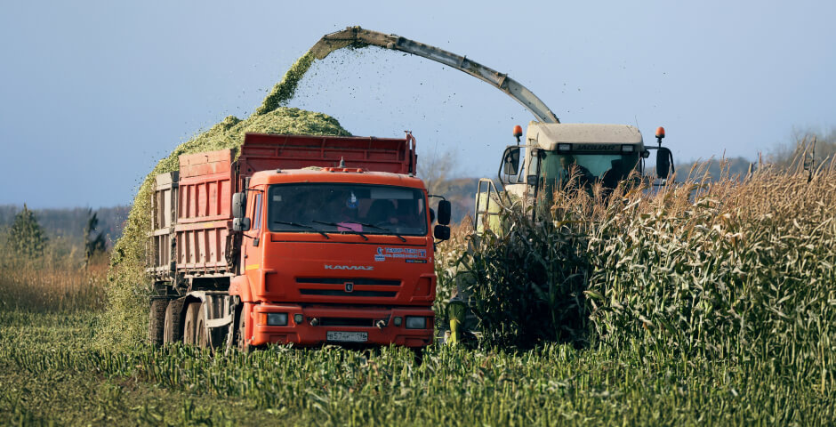 Фото: Донат Сорокин/ТАСС