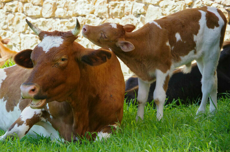   Игорь Самохвалов/ПГ