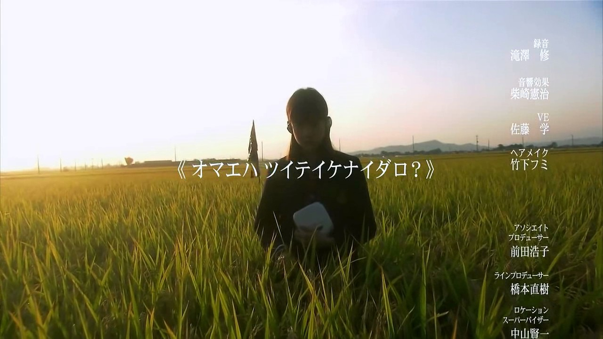 Всё о Лили Чоу Чоу