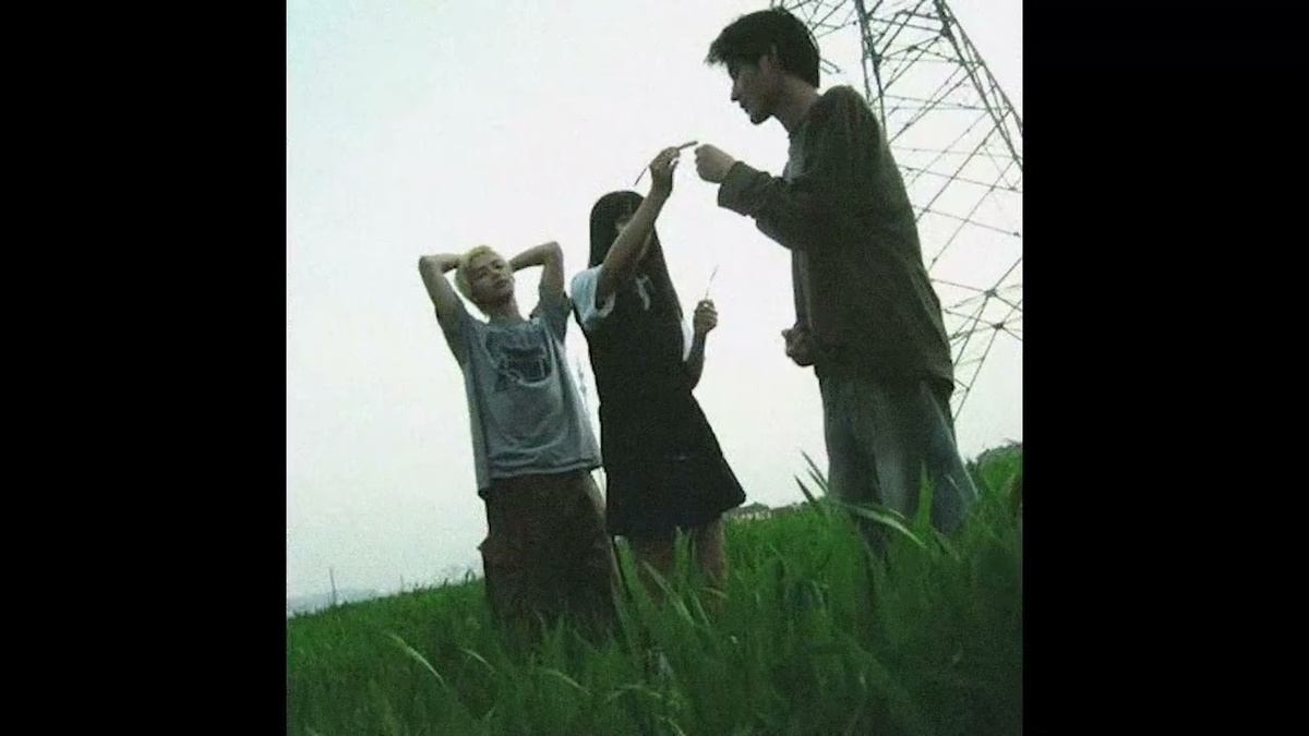 Всё о Лили Чоу Чоу