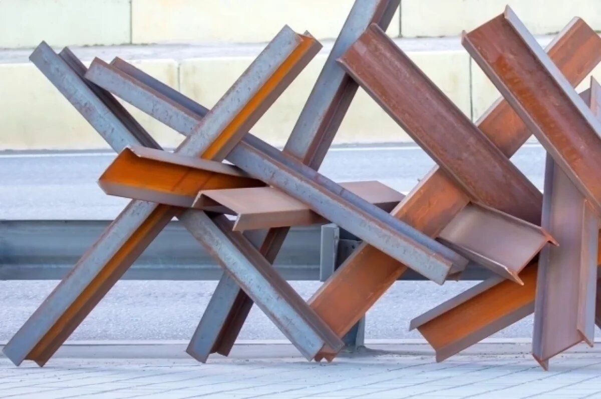    Польша установит бетонных ежей на границе с Россией и Белоруссией