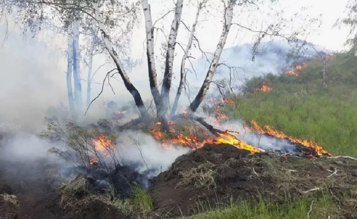    Площадь лесных пожаров в Башкирии за год уменьшилась в 97 раз