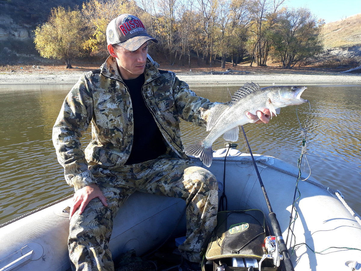 Осенний судак. Река Дон. Фото взято из личного архива. 