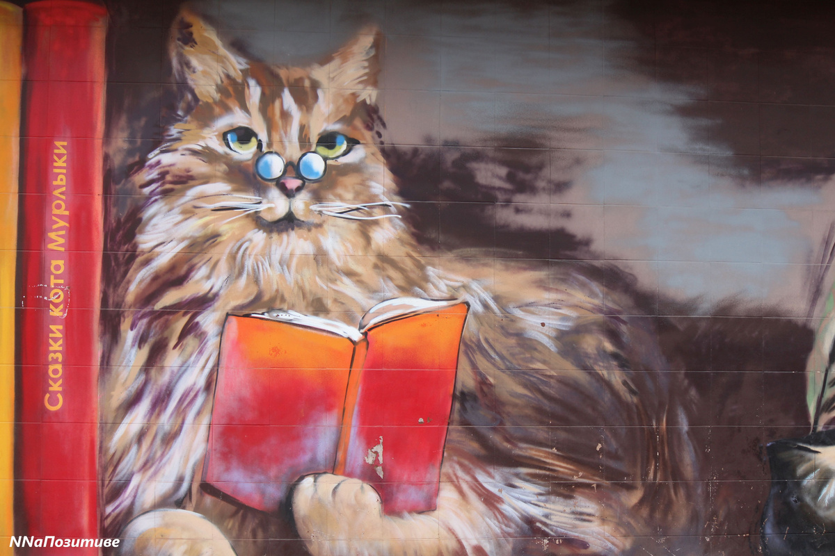 Кот на детской библиотеке