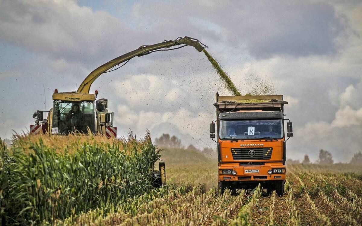    В Липецкой области завершена заготовка кормов Управления сельского хозяйства Липецкой области