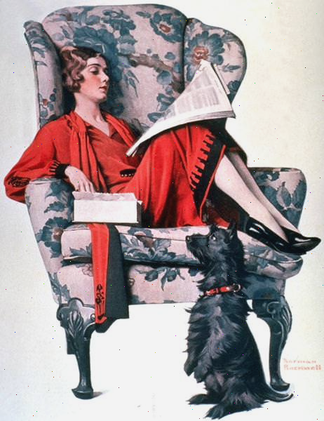 Картины Нормана Роквелла  NR-BEGGN