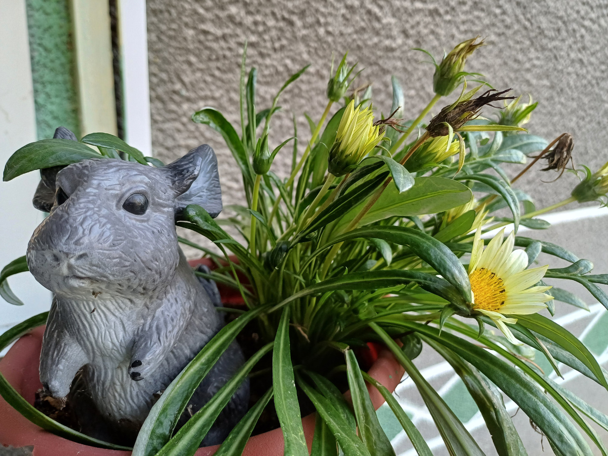 Неизвестный