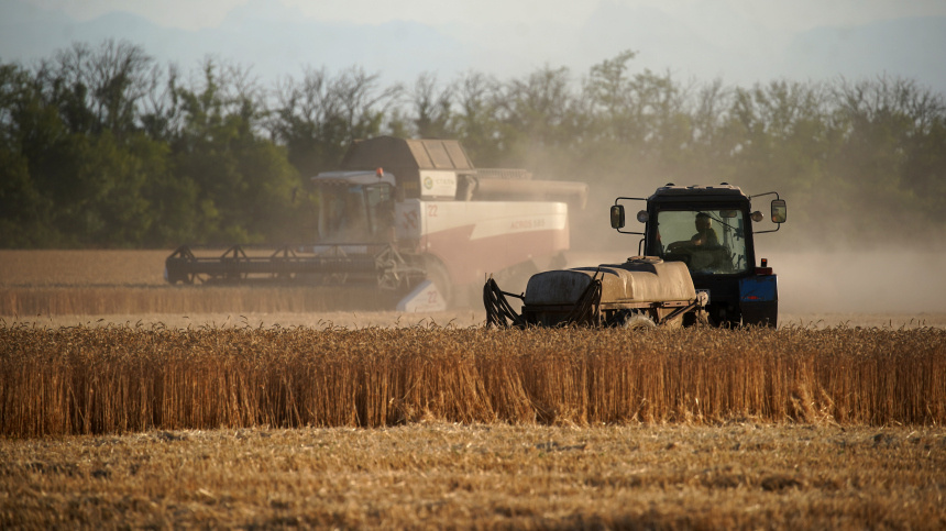    Фото: ИЗВЕСТИЯ/Эдуард Корниенко; 5-tv.ru