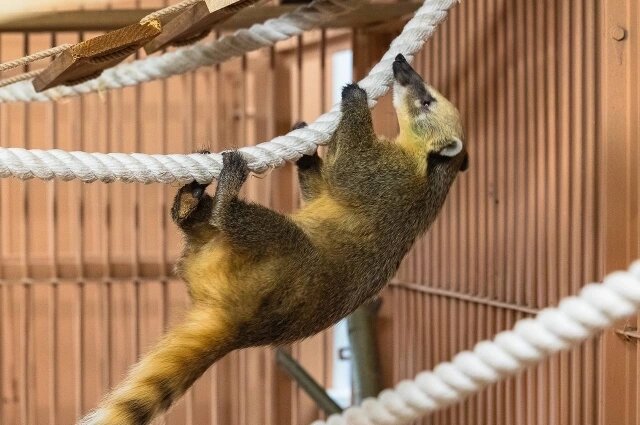    Фото: парк флоры и фауны "Роев ручей"