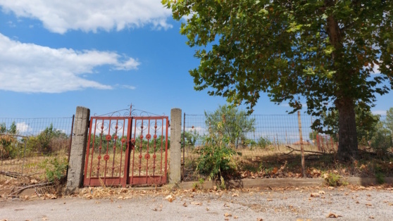    Конституционный суд РФ признал незаконными штрафы за неиспользование земельного участка для ИЖС в течение трех лет Ирина Петрова