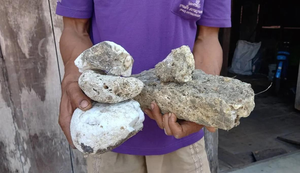 Туристы принимают их за камни и проходят мимо