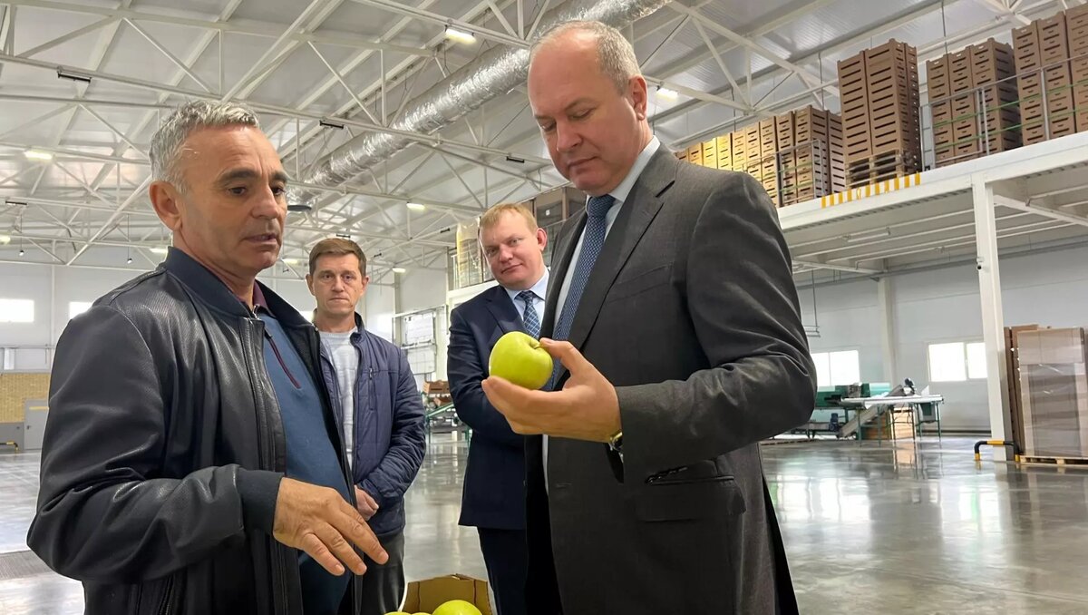     Автор: donland.ru