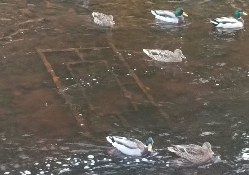    Петрозаводск - город закрытых мостовКонстантин Хоменко