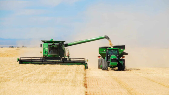    В России выделят еще свыше 30 млрд рублей на льготные кредиты для сельхозпроизводителей Роман Захаров