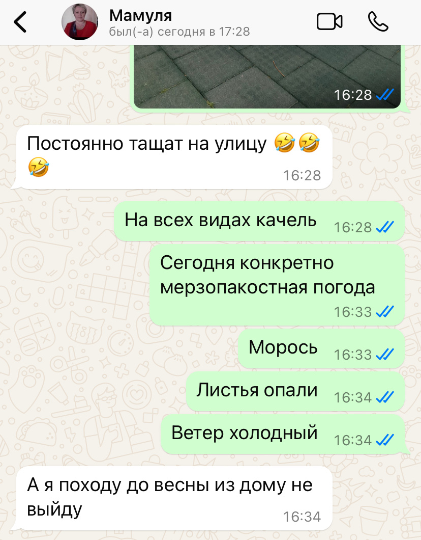Скриншот из ватсап