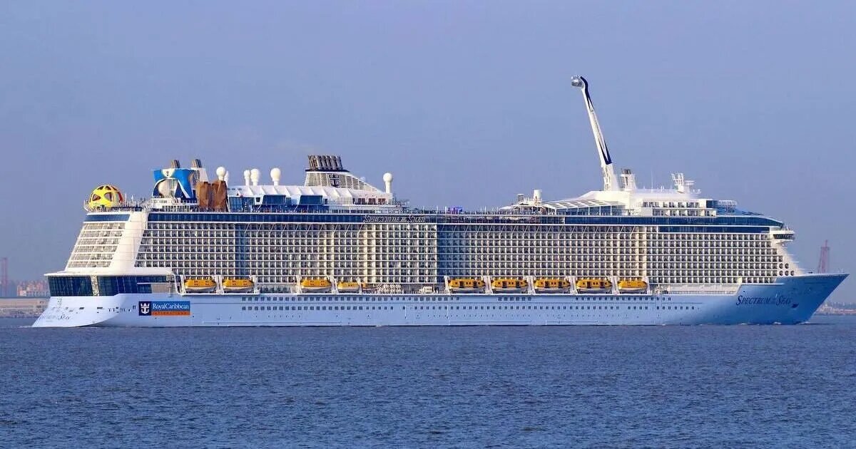 Фото: Соцсети