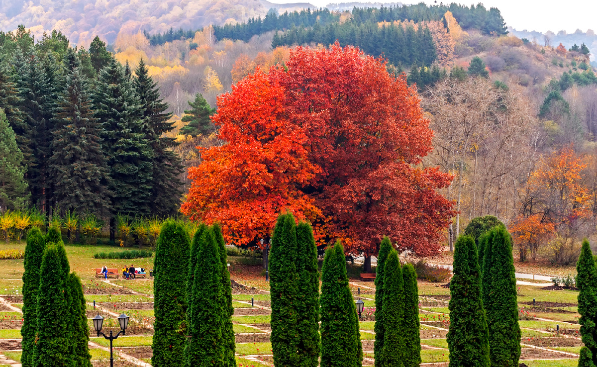 Фото: mikle15 / Фотобанк Фотодженика