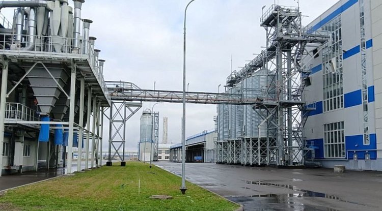    Волгоградский завод глубокой переработки зерна кукурузы успешно развивает свой уникальный для РФ агробизнес