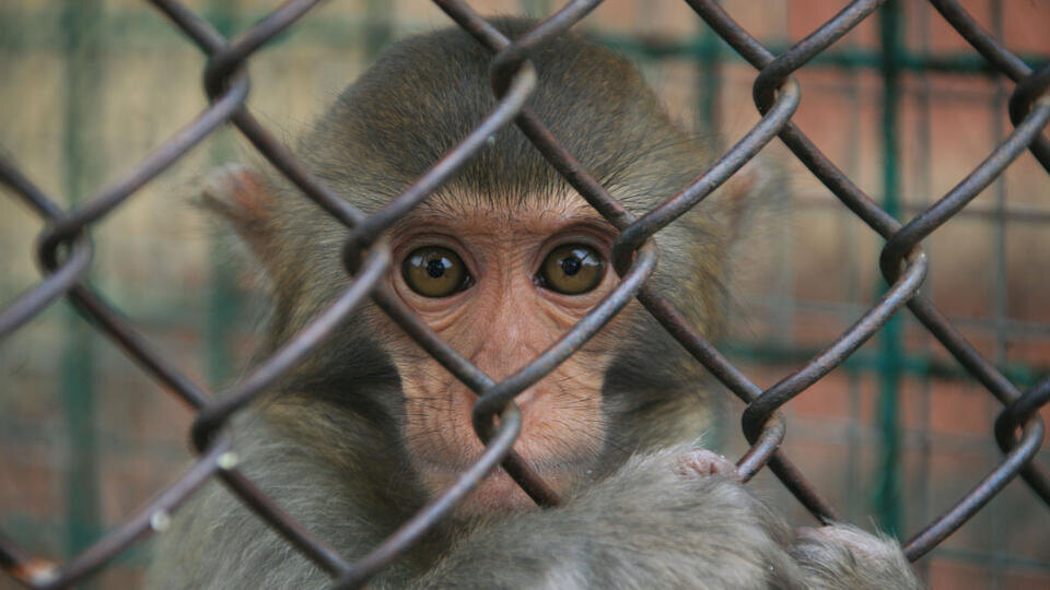 Фото: © Global Look Press/Chen Lixin/ChinaFotoPress