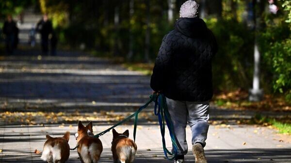    © Sputnik / Vladimir Fedorenko