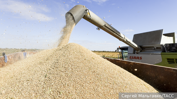     Фото: Сергей Мальгавко/ТАСС   
 Текст: Елизавета Шишкова