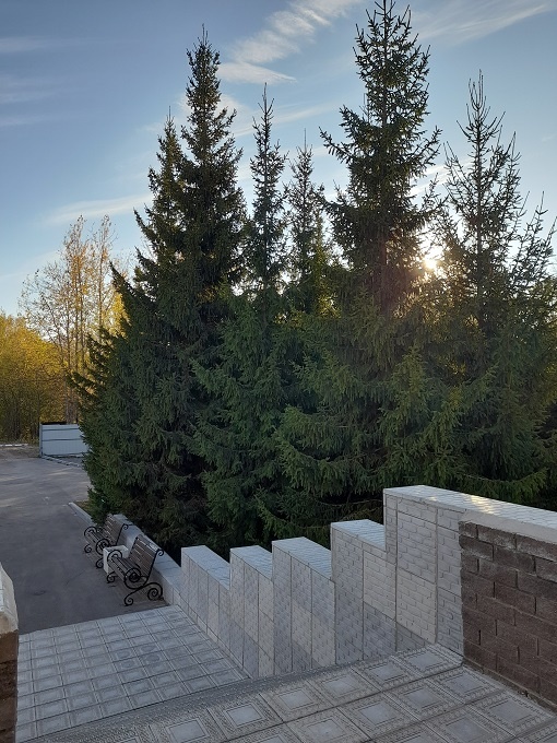 Вача, 12 октября 2024