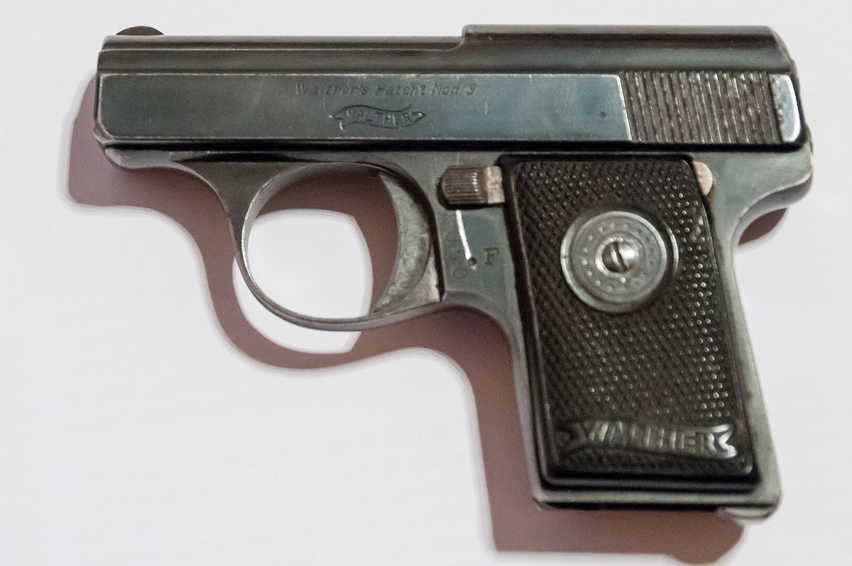 Крупный план. (Автор фото Jwh, CC BY-SA 3.0 lu)