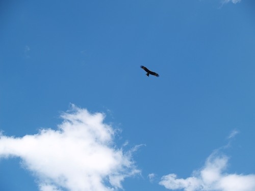 Картинка из сети интернет, спасибо автору.