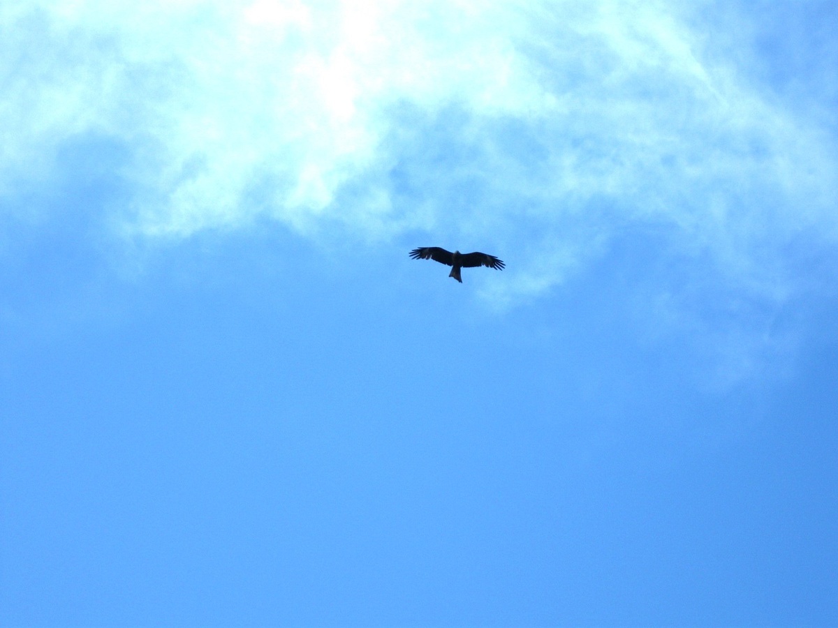 Картинка из сети интернет, спасибо автору.