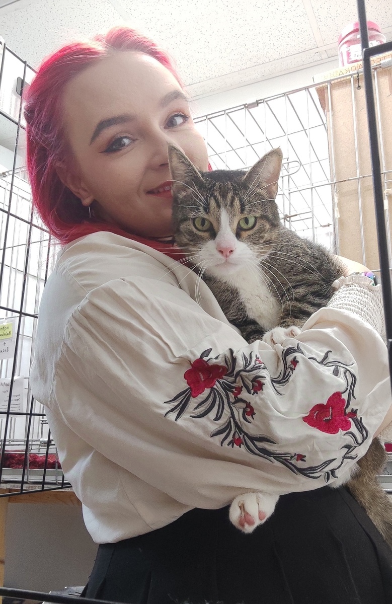 На фото - котик Арстан